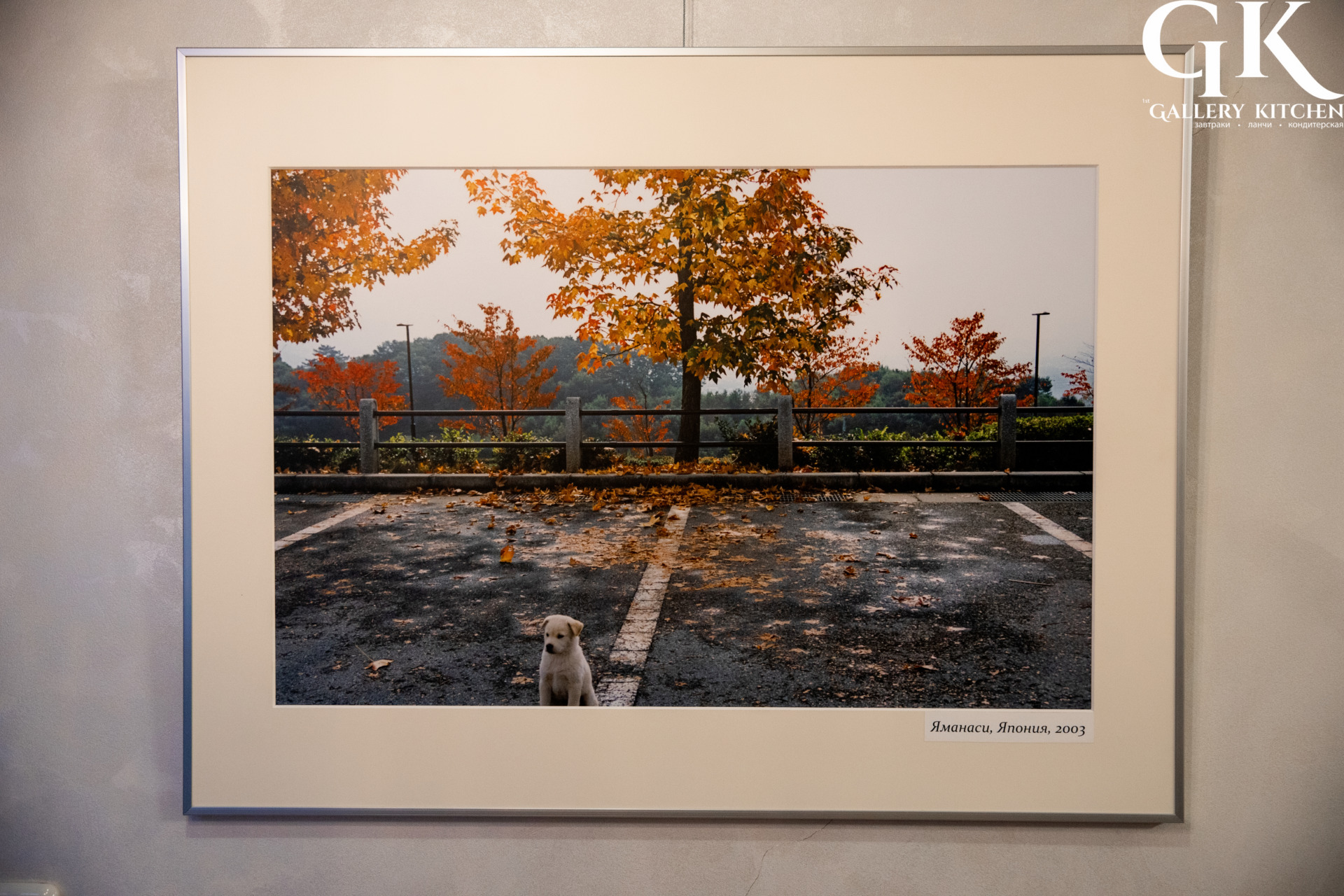 Выставка Дайсаку Икеда — Февраль 2022