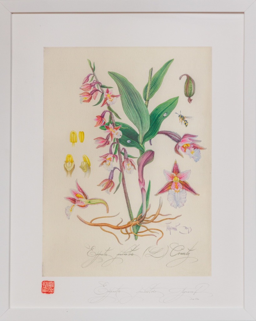 Выставка картин - Павла Пугачева - 1stGallery Меридианная - 30.09.25 Выставки - 251019 115202 resized - Ресторан 1st GALLERY KITCHEN