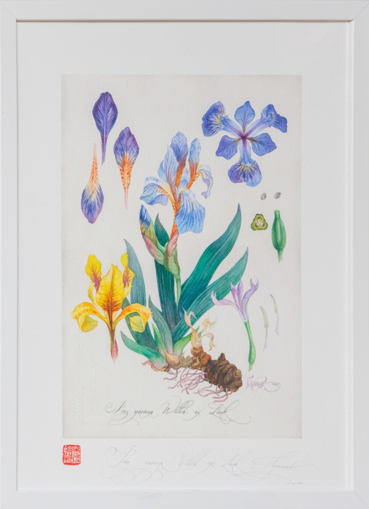 Выставка картин - Павла Пугачева - 1stGallery Меридианная - 30.09.25 Выставки - 251019 115205 resized - Ресторан 1st GALLERY KITCHEN