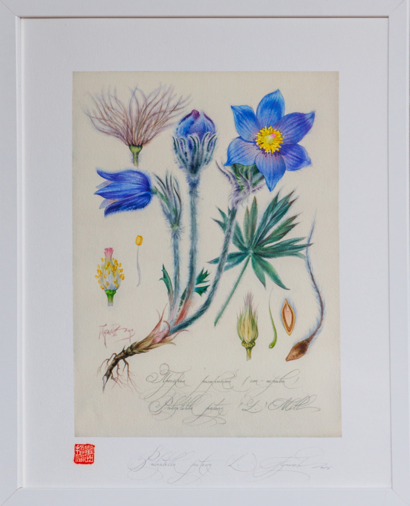 Выставка картин - Павла Пугачева - 1stGallery Меридианная - 30.09.25 Выставки - 251019 115213 - Ресторан 1st GALLERY KITCHEN